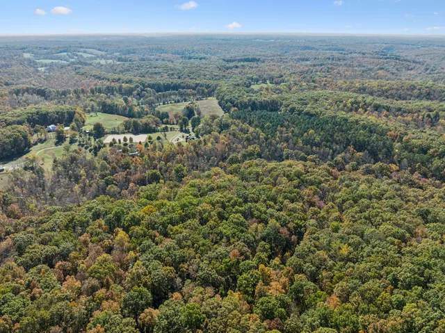 an aerial view of a house with a yard and large trees