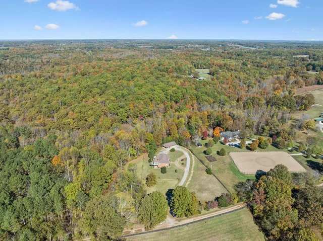 a view of a garden with flowers