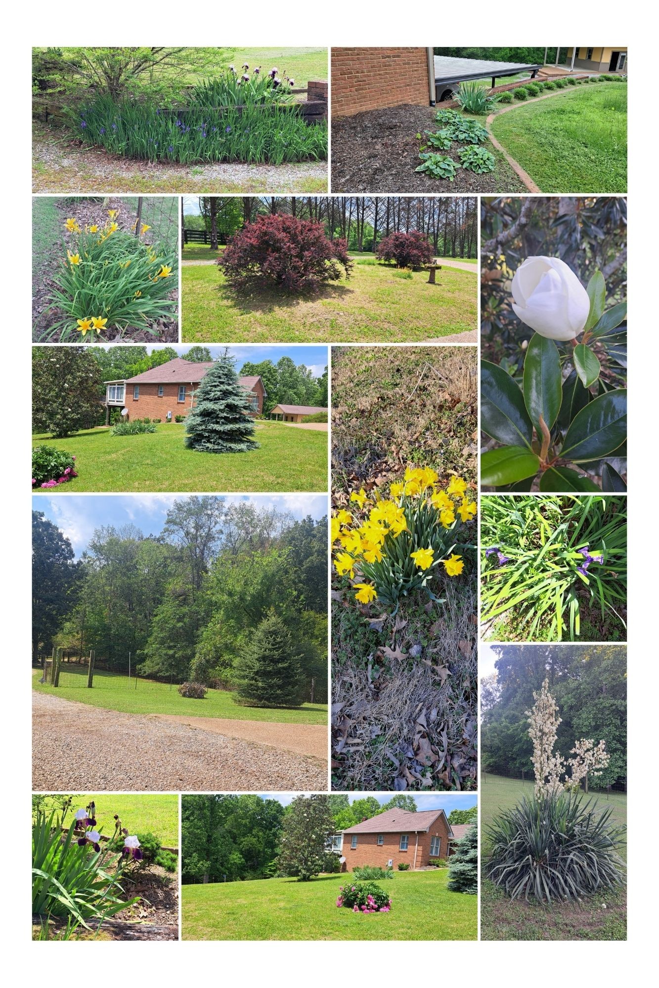 7875 Oscar Green Road Primm Springs, TN 38476 - Photo 39 of 44 a view balcony with a garden