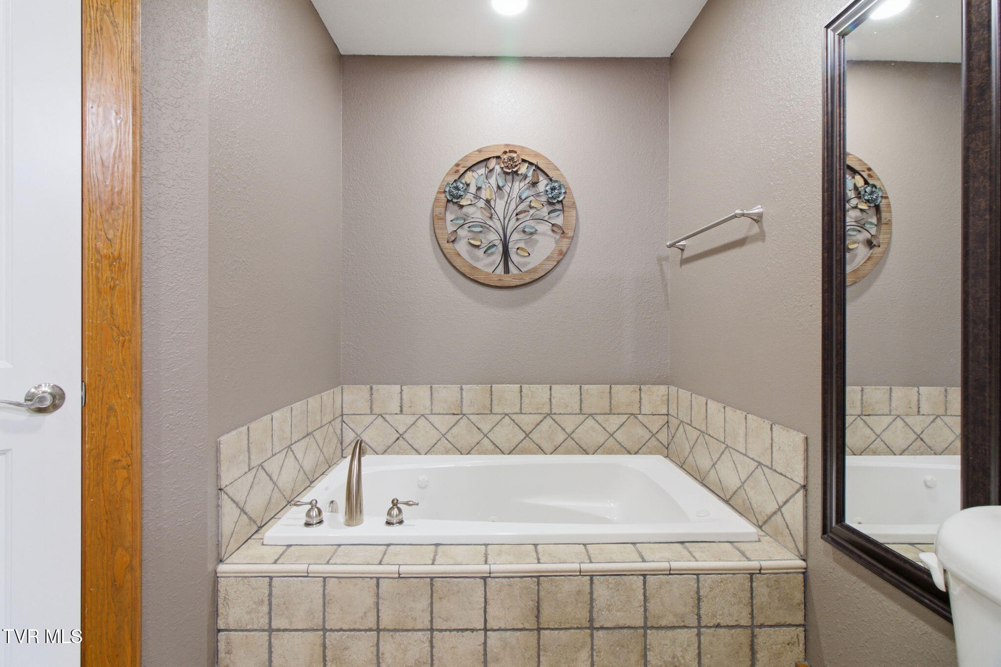 226 Reed Avenue Greeneville, TN 37743 - Photo 17 of 34 17-web-or-mls-DZ3A4755