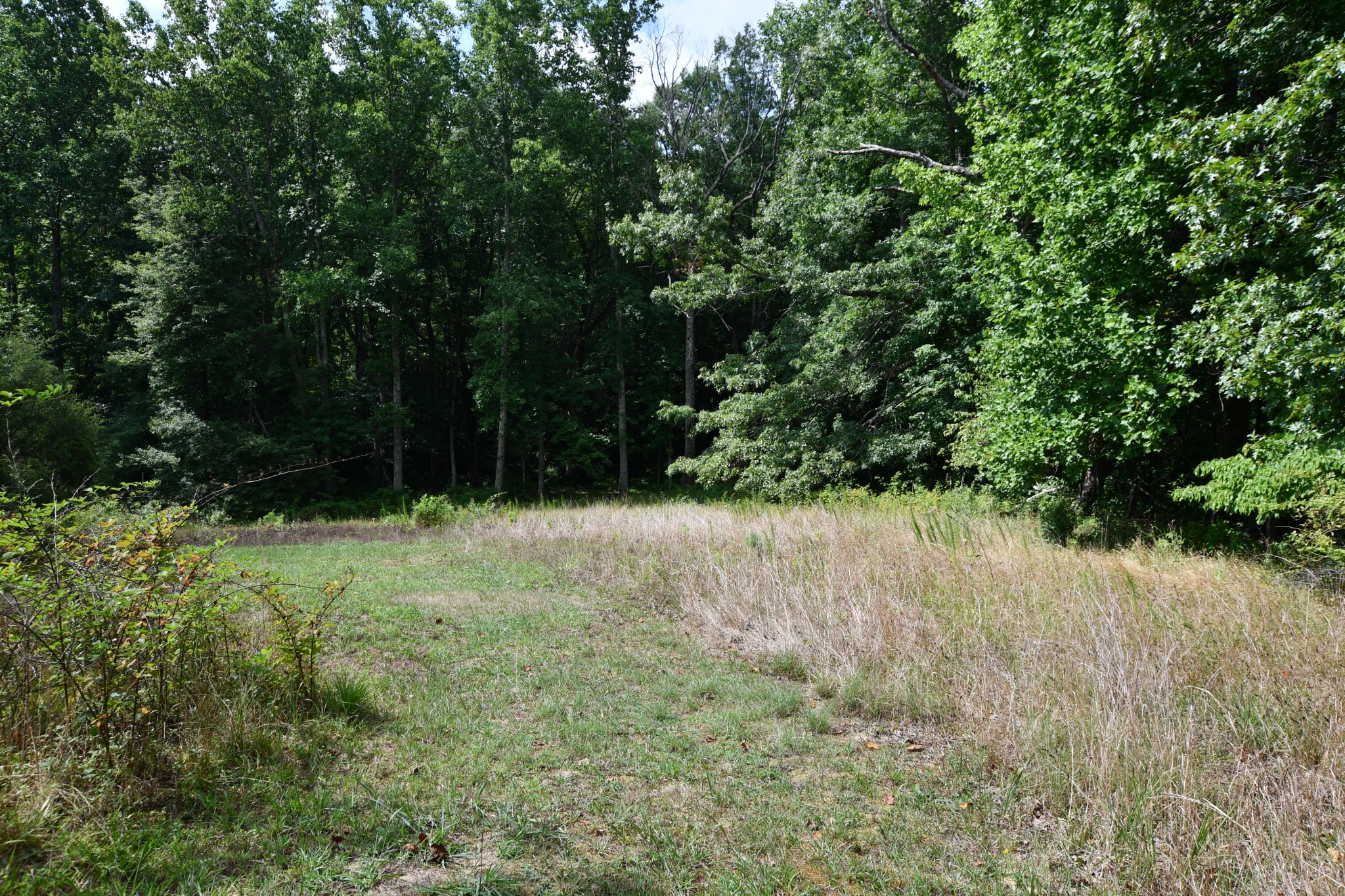 282 Smith Road Sewanee, TN 37375 - Photo 14 of 44 Gallery Image 14