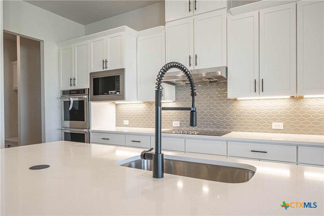 254 Firewheel Loop Floresville, TX 78114 - Photo 10 of 31