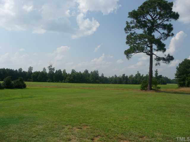 10405 Perry Ridge Court Zebulon, NC 27597 - Photo 9 of 10 Wow! What a view.