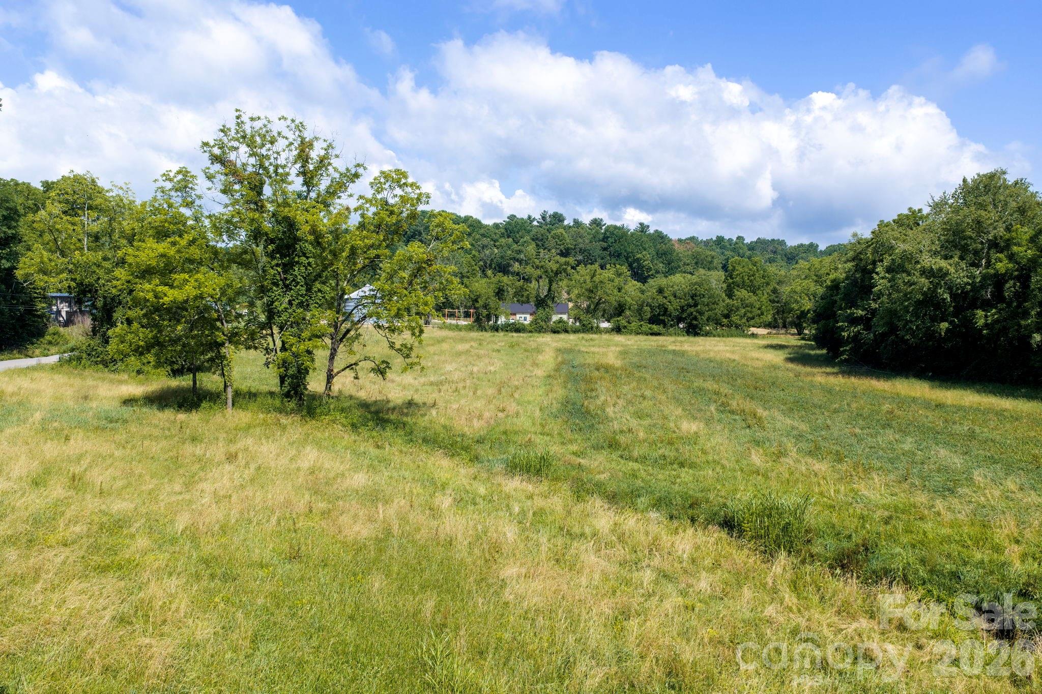10 Old Turnpike Road Mills River, NC 28759 - Photo 39 of 40