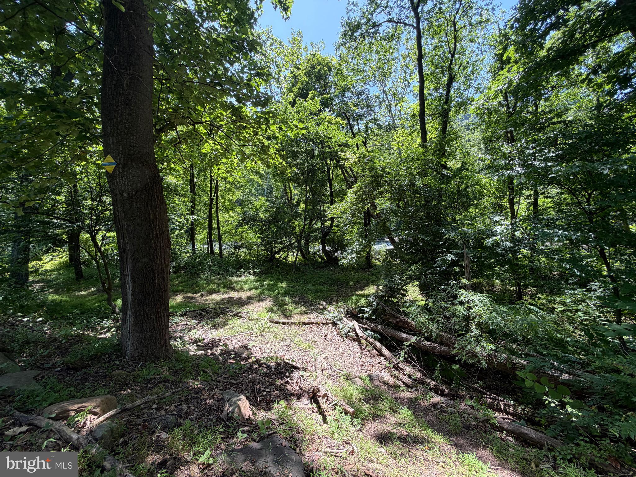 0 Westernport Road Southwest Westernport, MD 21562 - Photo 11 of 41