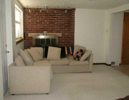 100 Rhodes Avenue Green Tree, PA 15220 - Photo 5 of 6 Den/Family/Great Room. Gameroom with newer berber carpet, log burning fireplace and recessed lighting.