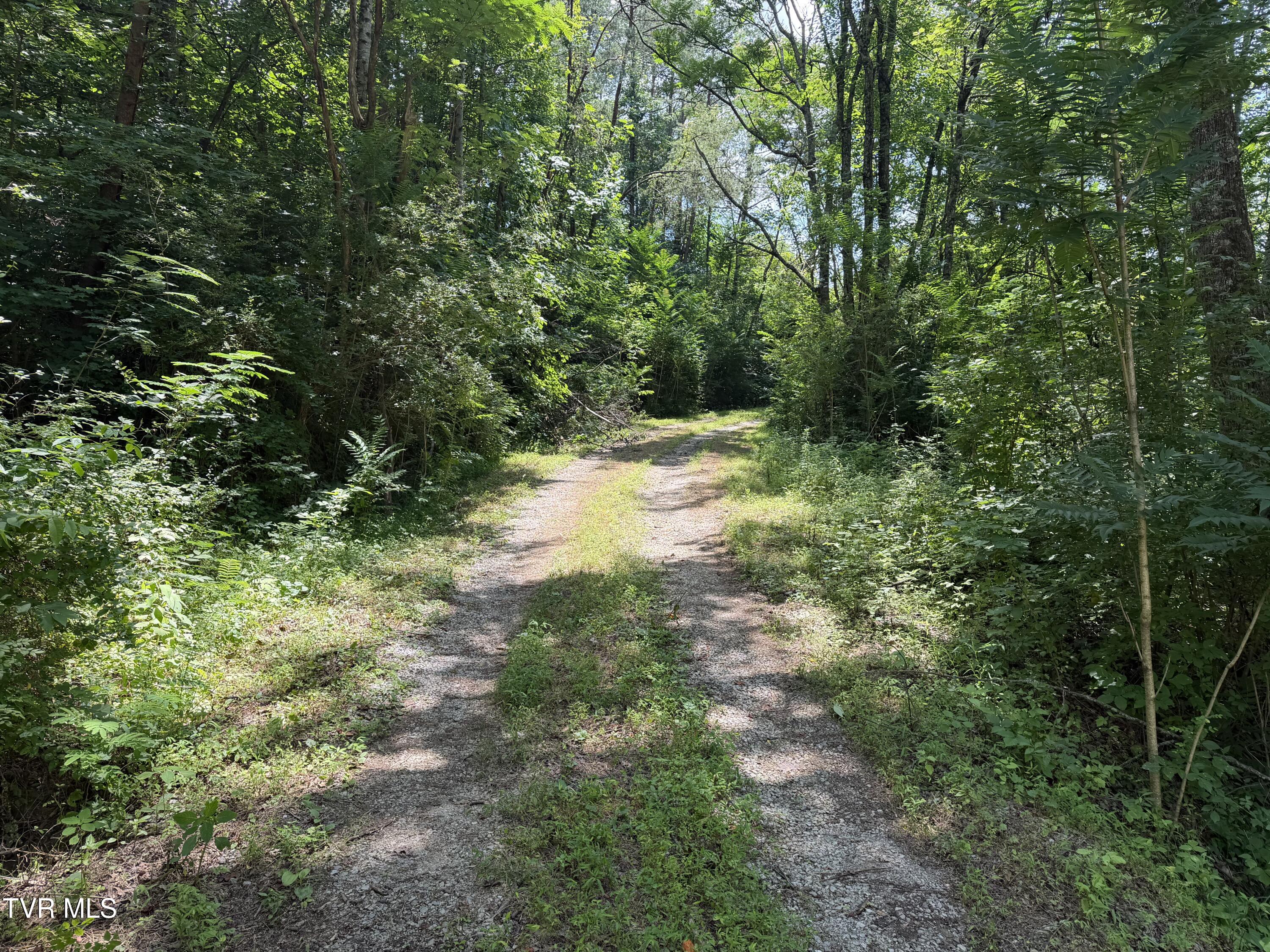 701 Old Witt Road, Unit 1 Morristown, TN 37813 - Photo 7 of 21 t7