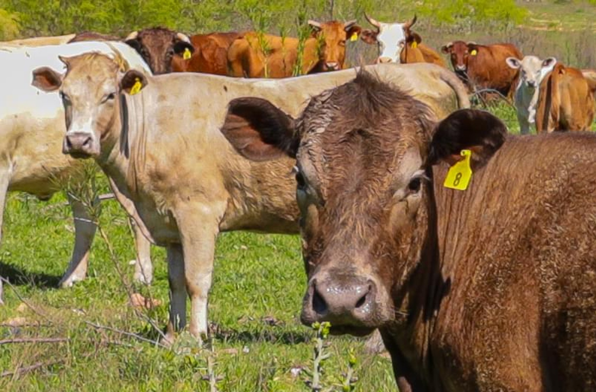 16400 Fetching Avenue Manor, TX 78653 - Photo 31 of 32 Exterior view