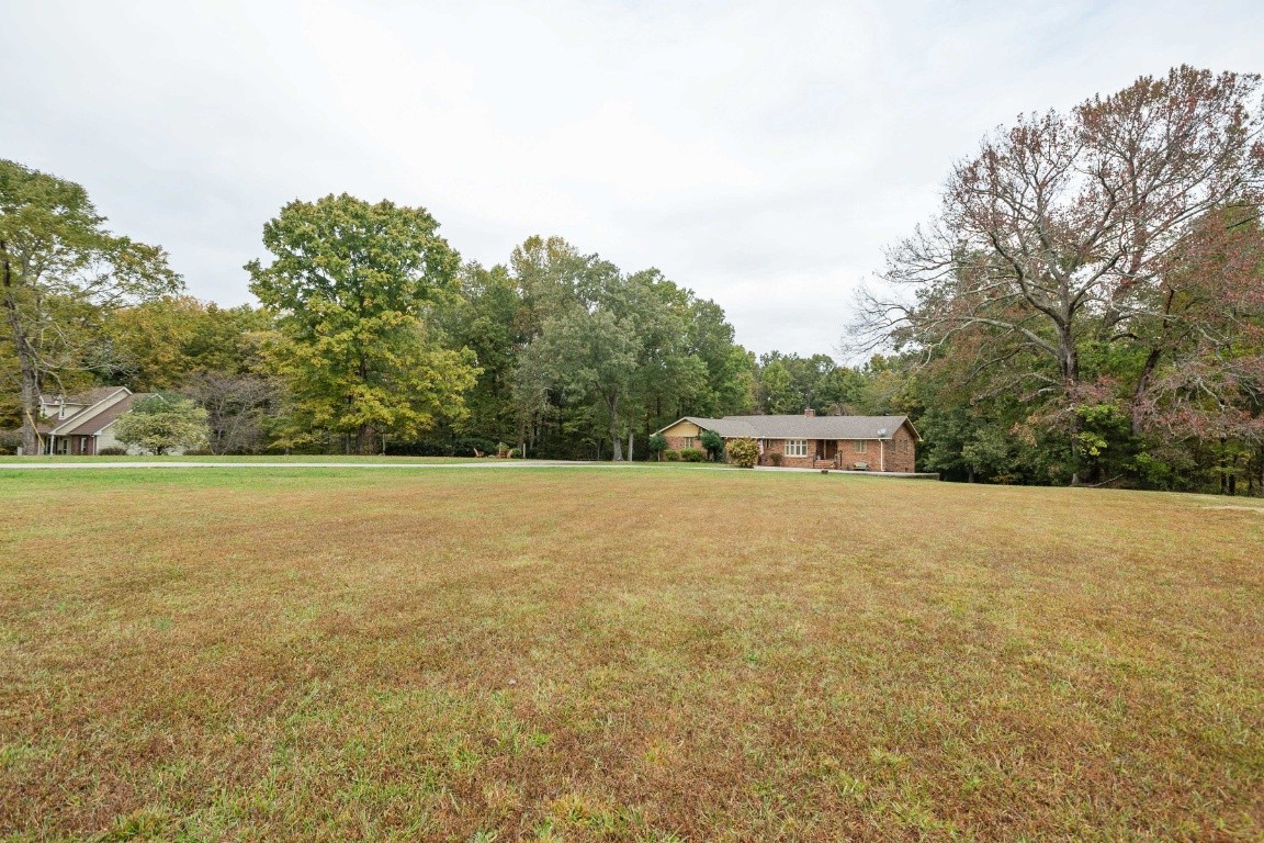 1159 Dimple Road Chapmansboro, TN 37035 - Photo 4 of 50 Gallery Image 4
