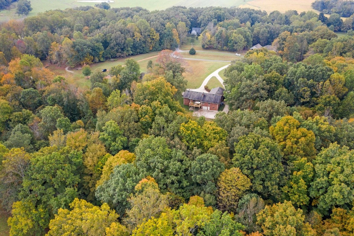 1159 Dimple Road Chapmansboro, TN 37035 - Photo 50 of 50 Gallery Image 50