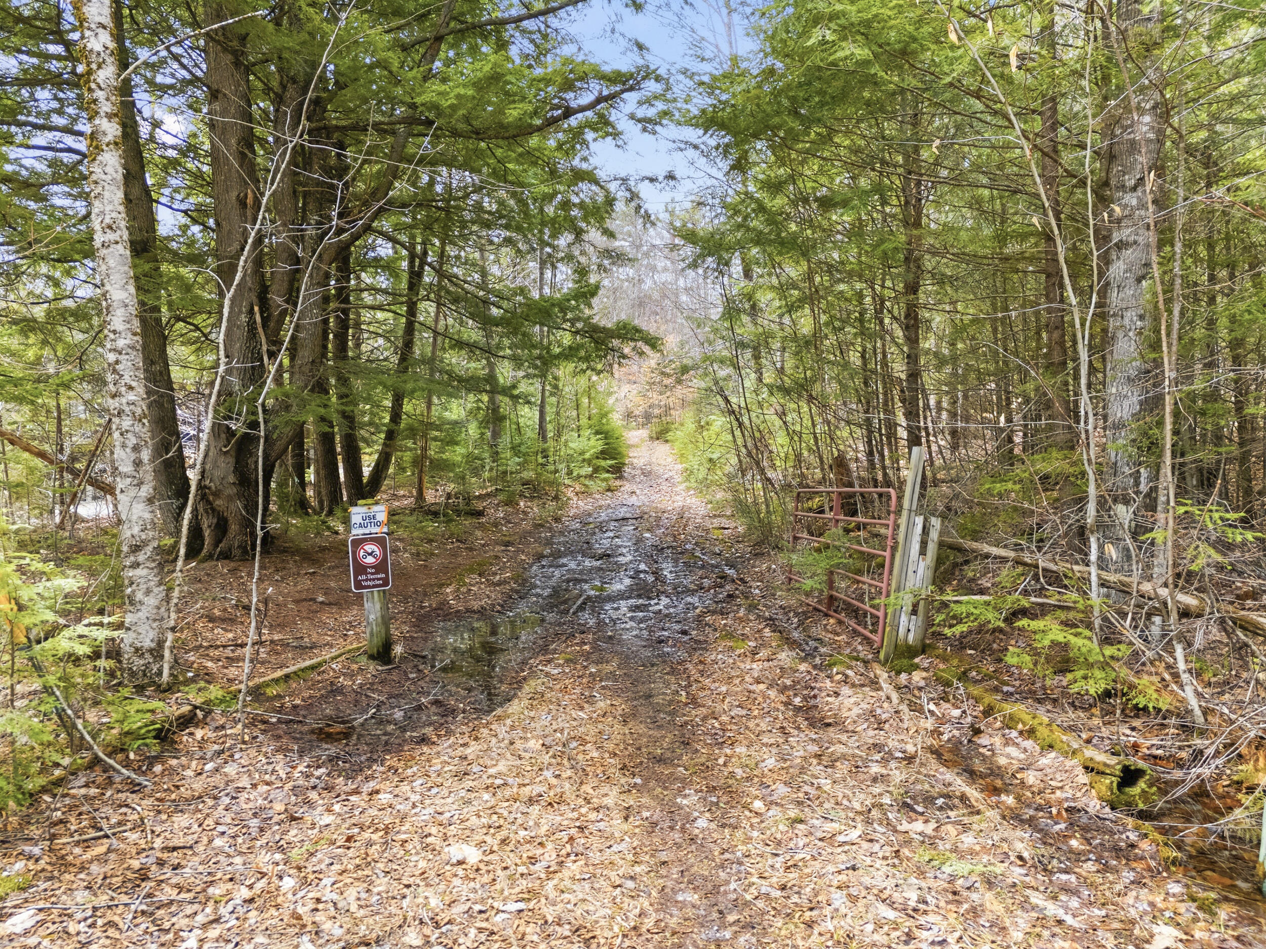 103 Will View Road Bethel, ME 04217 - Photo 3 of 65 58_103willview-49