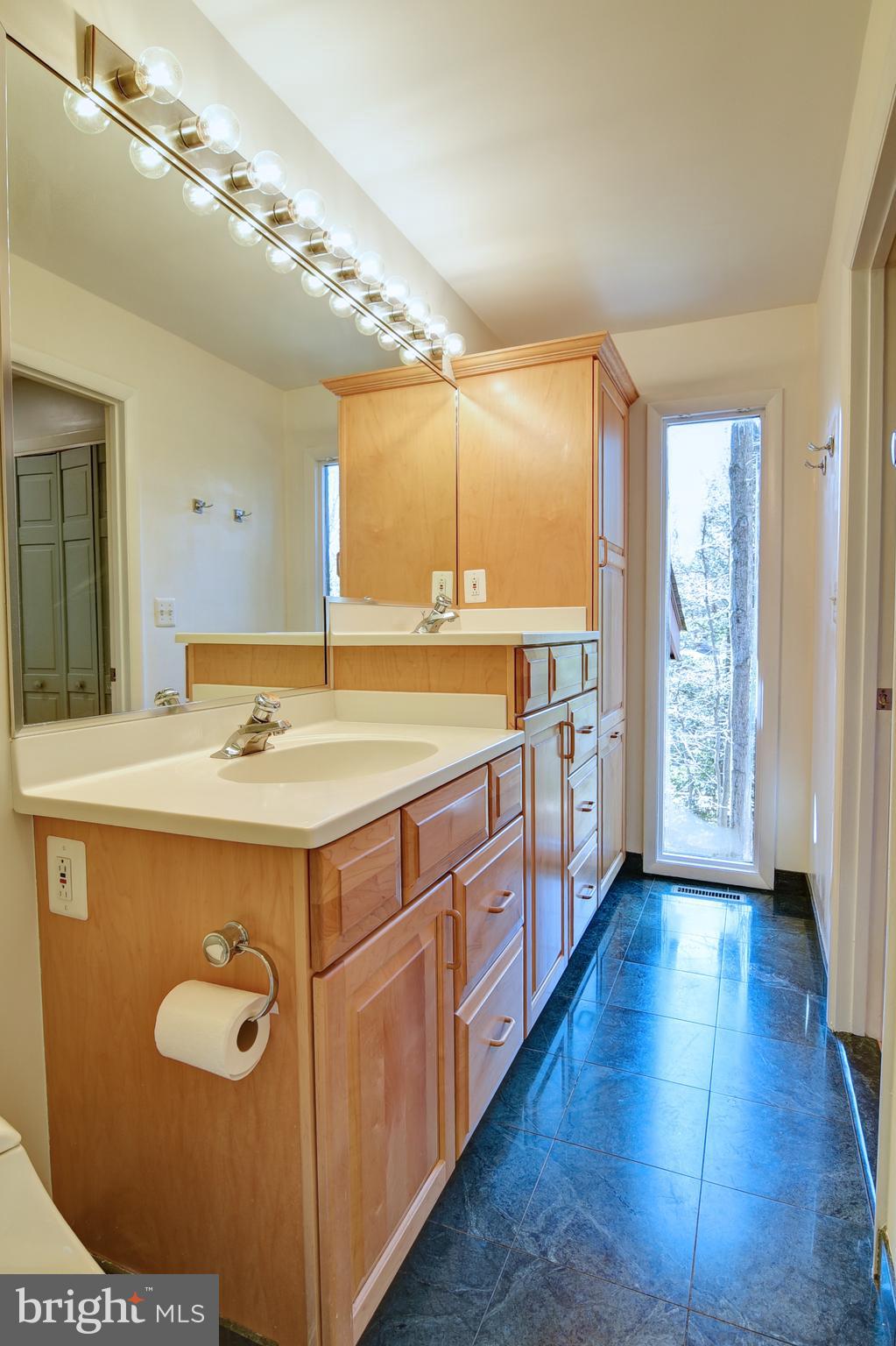 12013 Canter Lane Reston, VA 20191 - Photo 18 of 44 Primary Bath