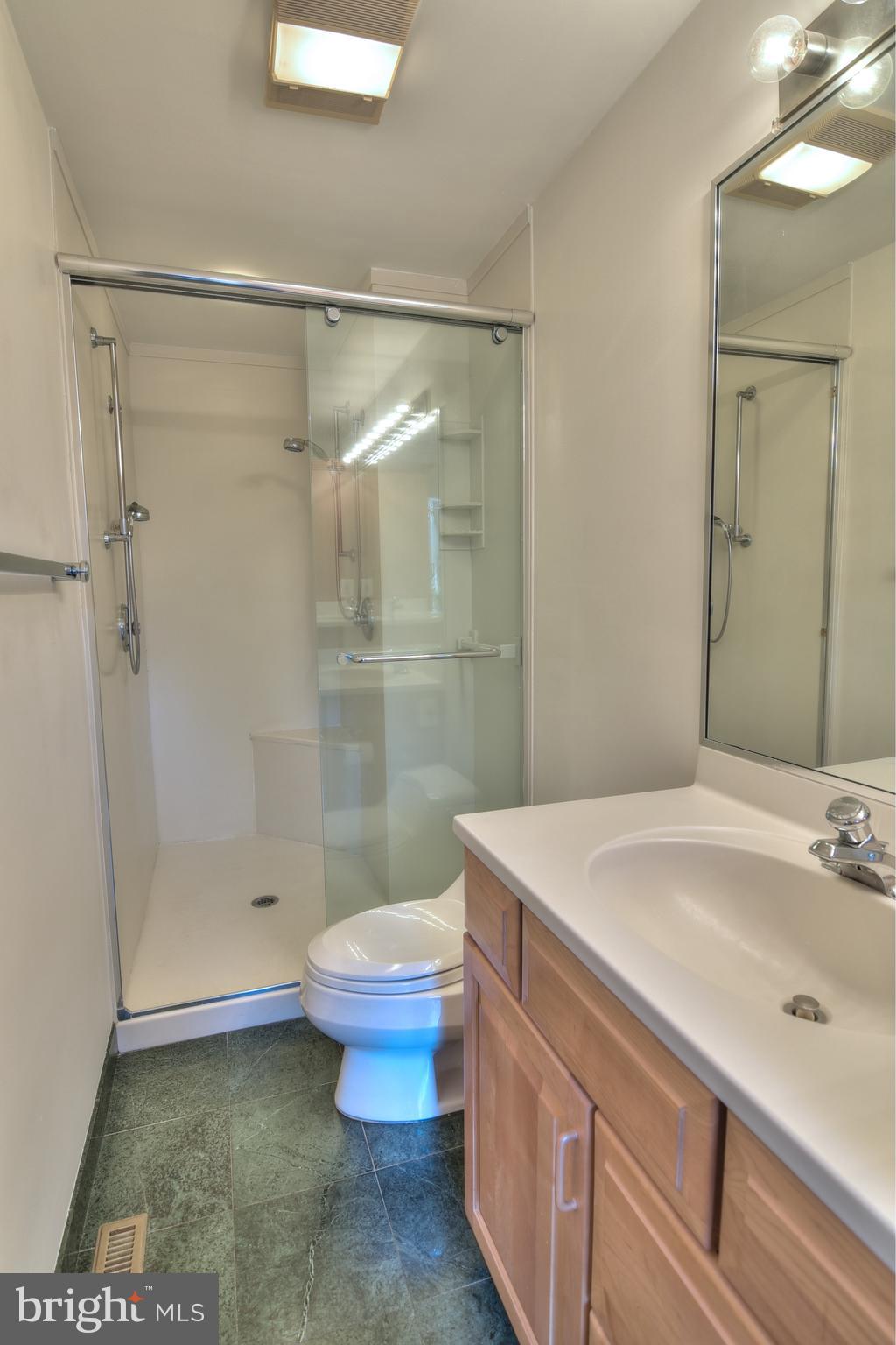 12013 Canter Lane Reston, VA 20191 - Photo 19 of 44 Primary Shower