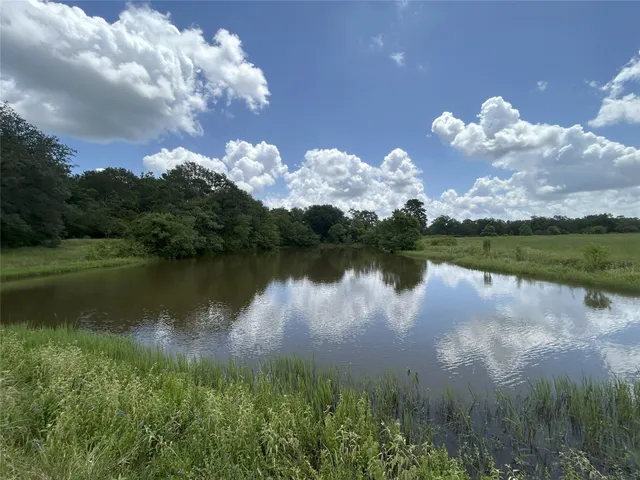 a view of a lake in between two of trees