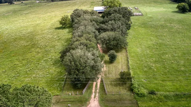 a view of park with wooden fence