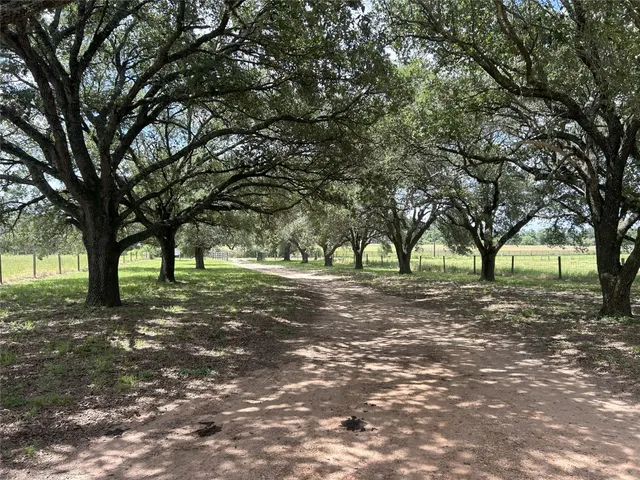 a house that has a tree in front of the house
