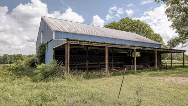 a backyard of a house with potted plants and big trees
