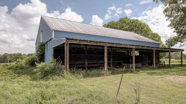 a backyard of a house with potted plants and big trees