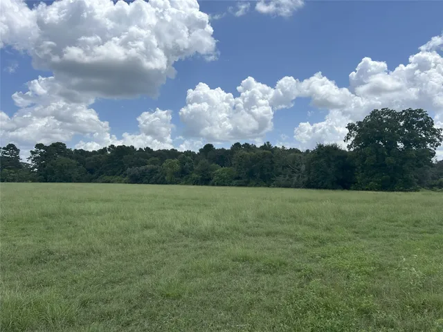 a view of a lake from a yard