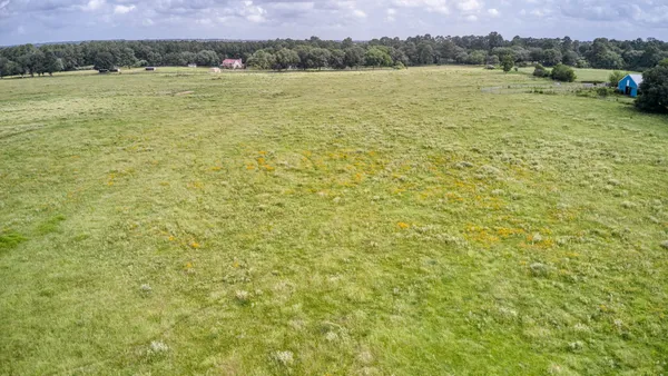 a view of an ocean from a yard
