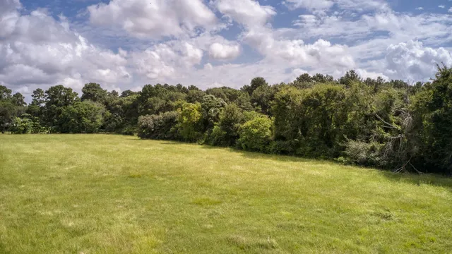 a view of a yard with an outdoor space