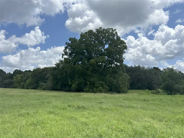 a view of kitchen with green space