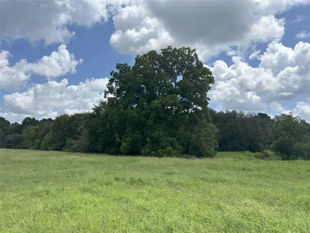 a view of kitchen with green space