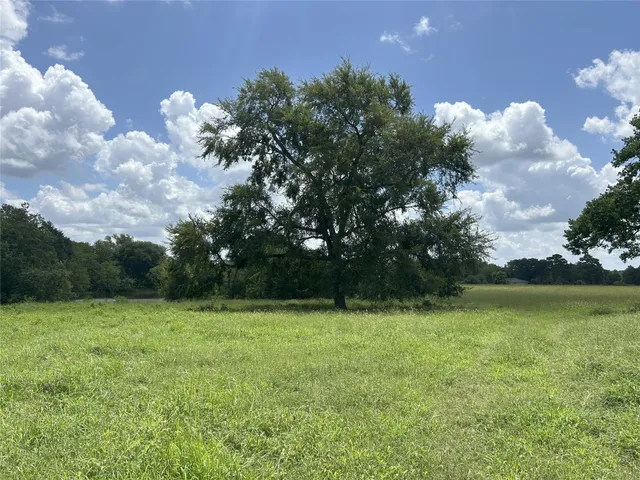a view of a golf course with a lake