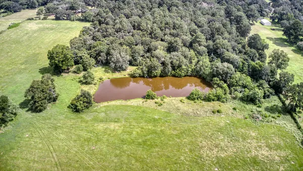 a view of a lake with a city from a lake