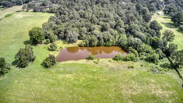a view of a lake with a city from a lake