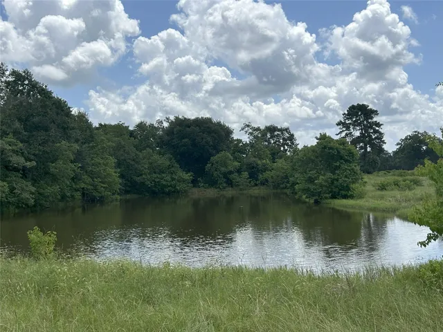 a view of a lake in between two of trees