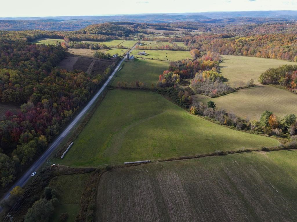 0 Parrott Road Cayuta, NY 14824 - Photo 11 of 14