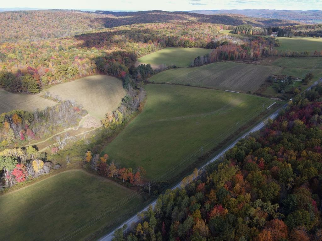 0 Parrott Road Cayuta, NY 14824 - Photo 13 of 14