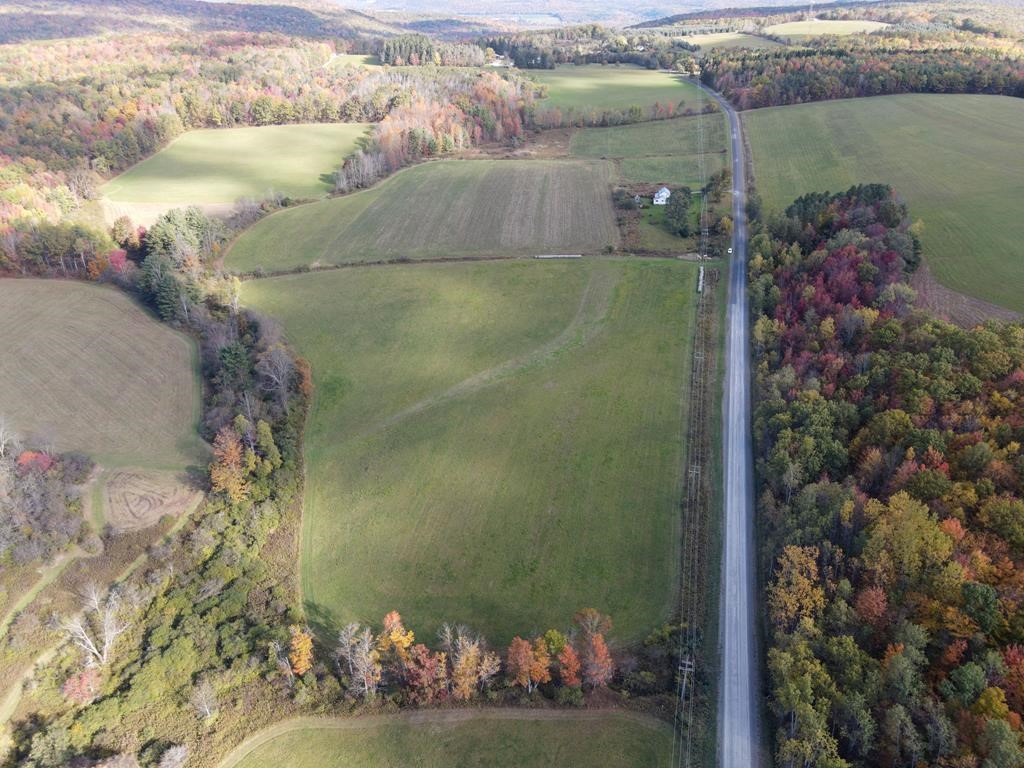 0 Parrott Road Cayuta, NY 14824 - Photo 14 of 14