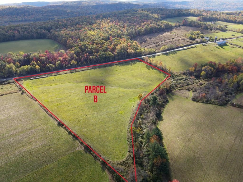 0 Parrott Road Cayuta, NY 14824 - Photo 2 of 14