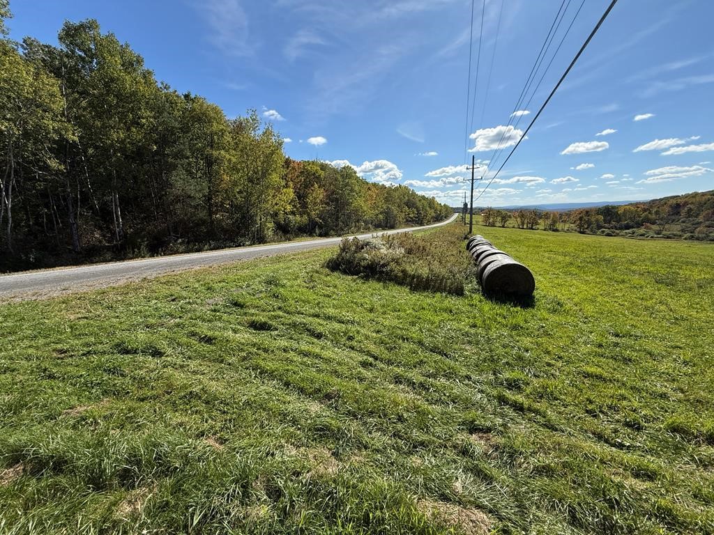 0 Parrott Road Cayuta, NY 14824 - Photo 3 of 14