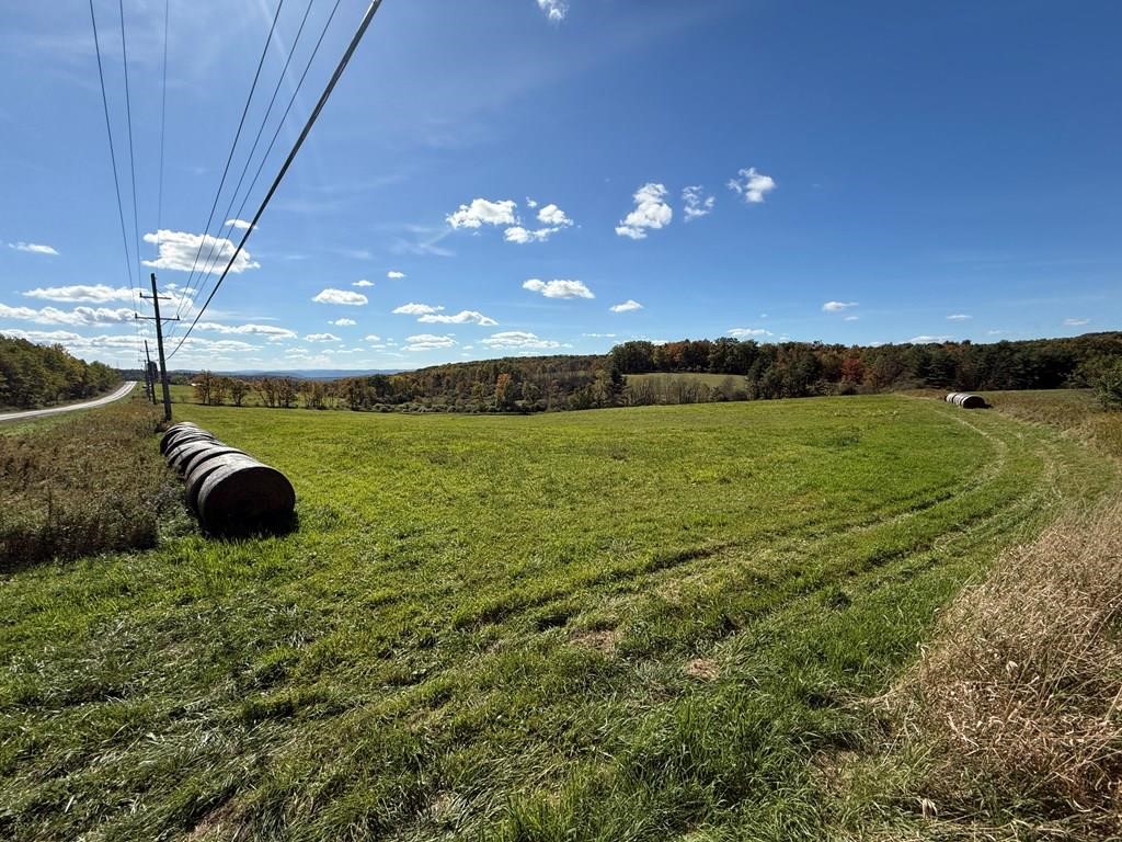 0 Parrott Road Cayuta, NY 14824 - Photo 4 of 14