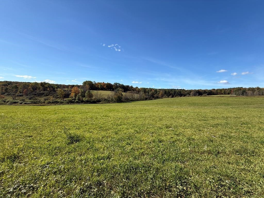 0 Parrott Road Cayuta, NY 14824 - Photo 5 of 14