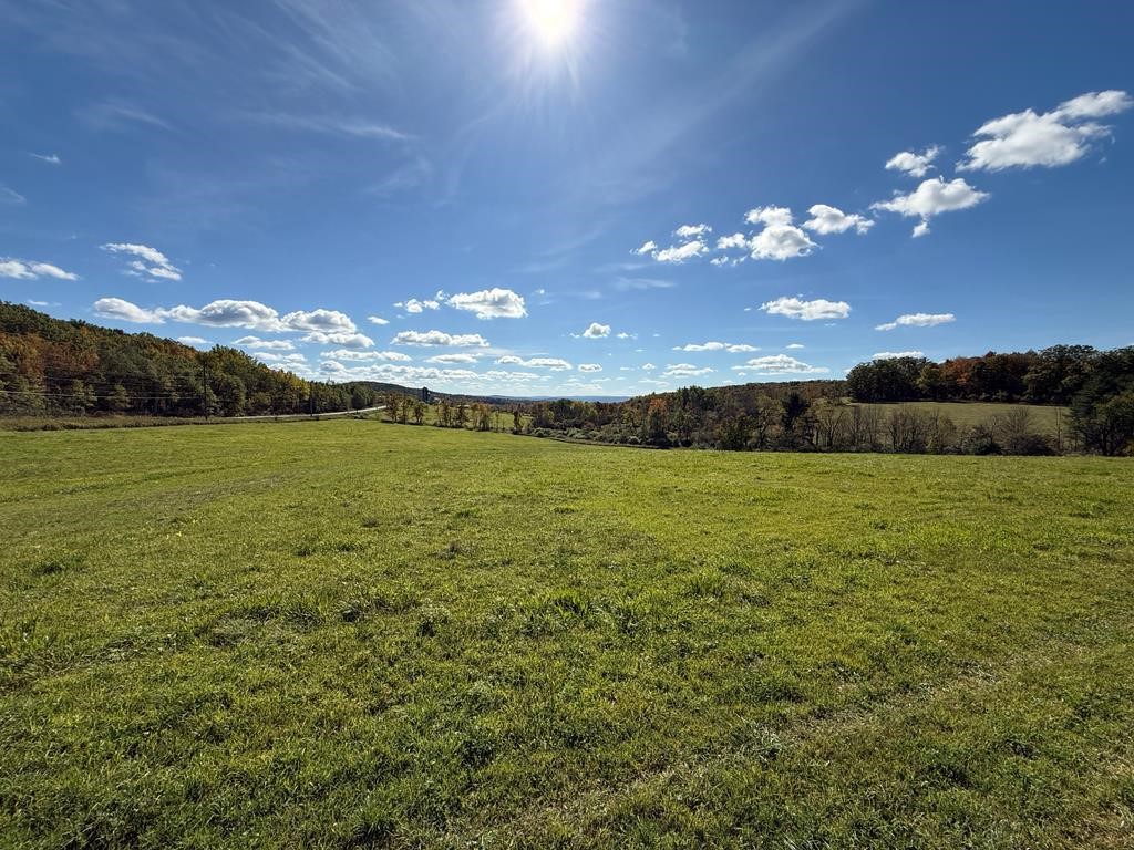 0 Parrott Road Cayuta, NY 14824 - Photo 6 of 14