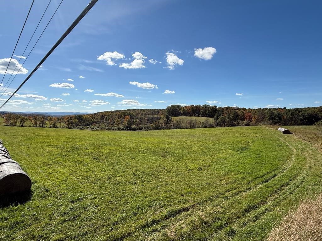0 Parrott Road Cayuta, NY 14824 - Photo 7 of 14