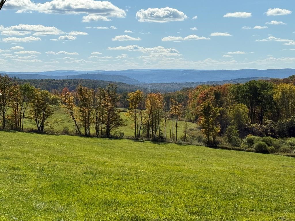 0 Parrott Road Cayuta, NY 14824 - Photo 8 of 14