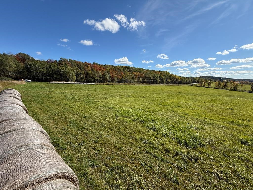 0 Parrott Road Cayuta, NY 14824 - Photo 9 of 14