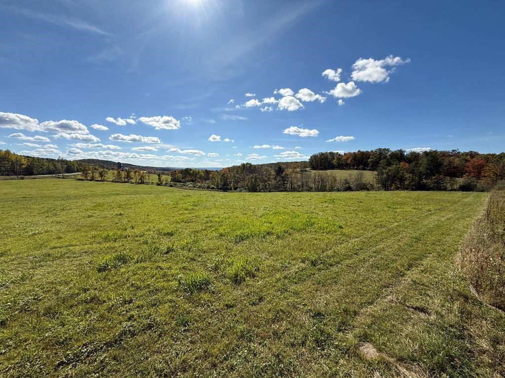 0 Parrott Road Cayuta, NY 14824 - Photo 10 of 14