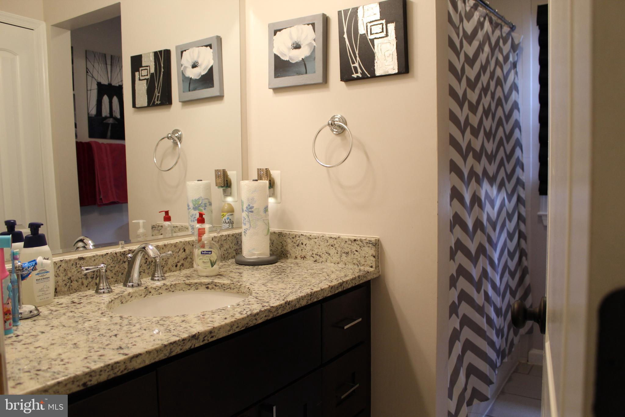 3810 Janbrook Road Randallstown, MD 21133 - Photo 15 of 26 Main Bathroom