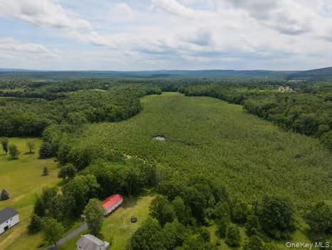 130 Whitlock Road Otisville, NY 10963 - Photo 5 of 25