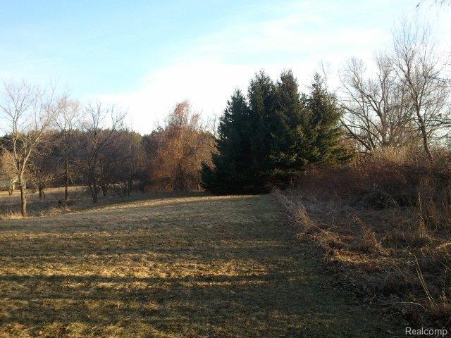 5329 Pratt Road Lapeer, MI 48446 - Photo 17 of 17 backyard view.jpg