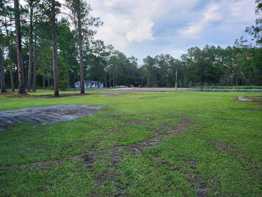 1540 Mussel White Store Road Lenox, GA 31637 - Photo 14 of 15 Gallery Image 14