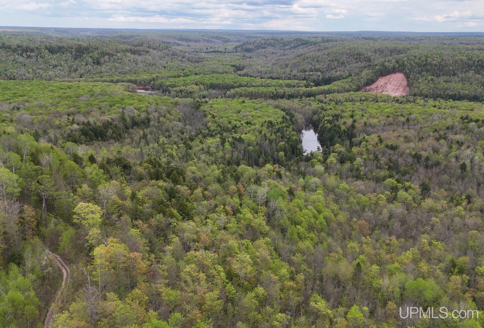 Tbd1948 Victoria Dam Road Rockland, MI 49960 - Photo 3 of 20