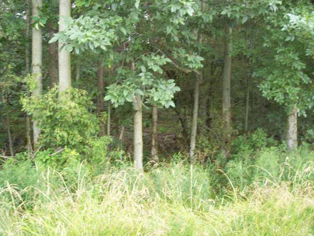 2 725 W Road Tipton, IN 46072 - Photo 2 of 6 Gallery Image 2