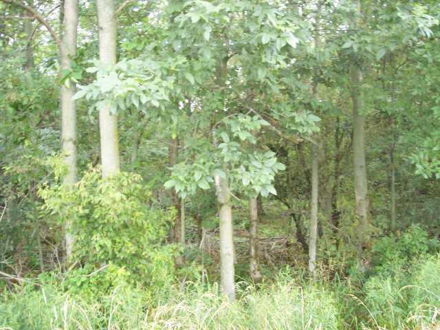 2 725 W Road Tipton, IN 46072 - Photo 6 of 6 Gallery Image 6
